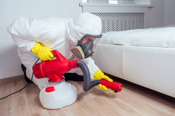 Best Pest Prevention Services  in Texanna, OK